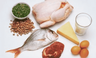 Ikan dan Telur yang bergizi rekomendasi