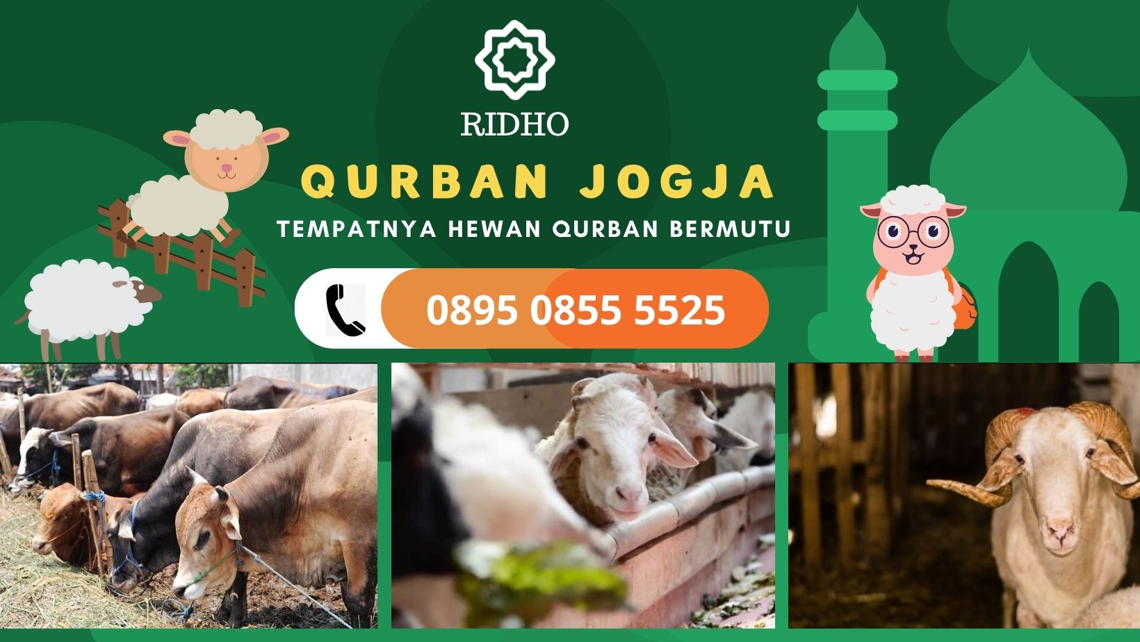 QURBAN JOGJA BANTUL SLEMAN